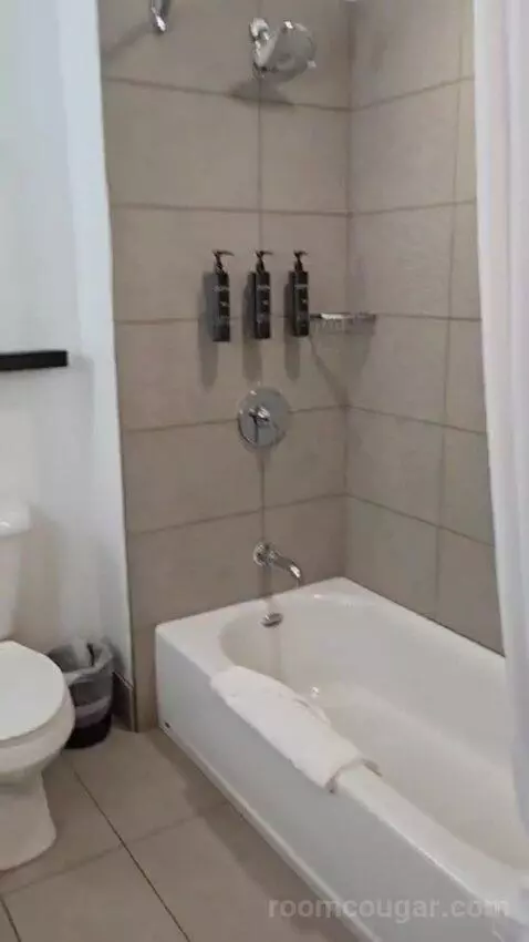 King Studio Suite picture #13