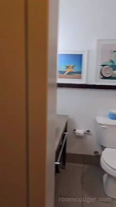 King Studio Suite bathroom picture #9