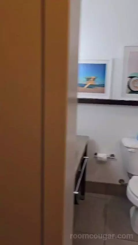 King Studio Suite bathroom picture #10