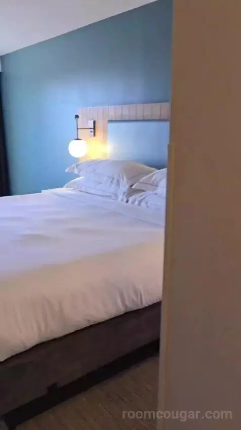 King Studio Suite bed picture #3