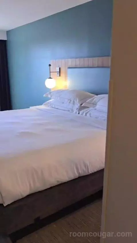 King Studio Suite bed picture #4