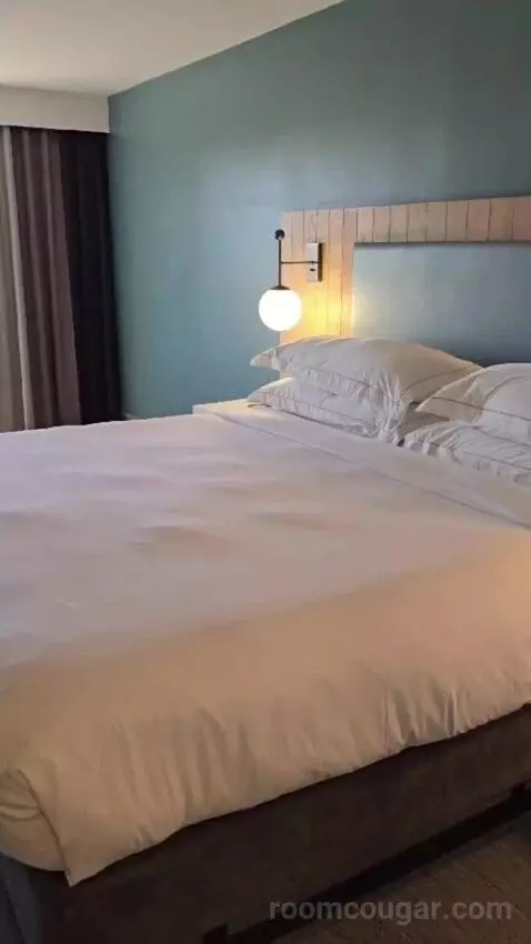 King Studio Suite bed picture #6