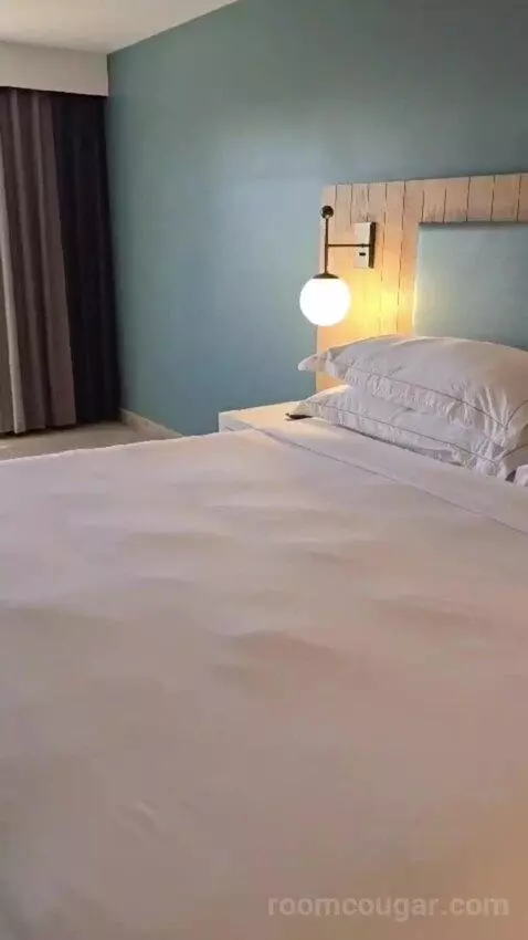 King Studio Suite bed picture #7