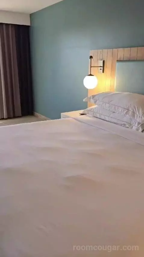 King Studio Suite bed picture #8