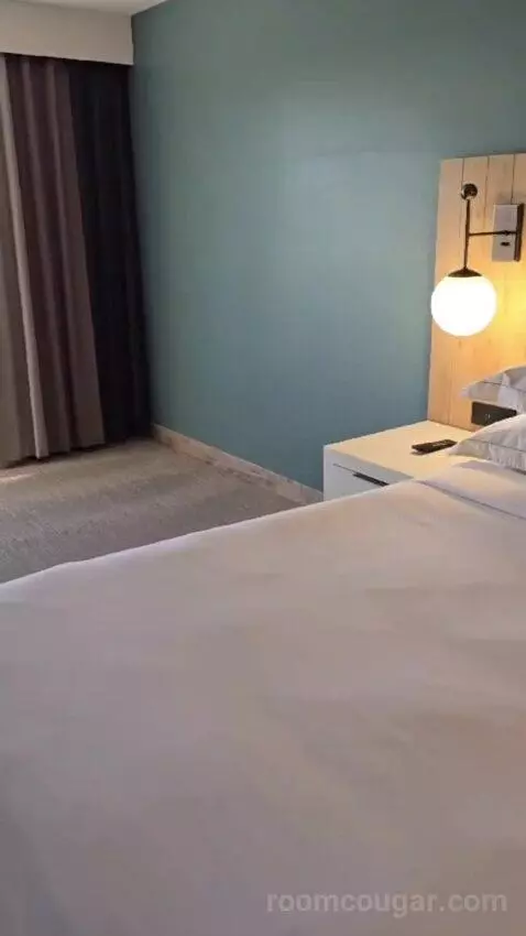 King Studio Suite bed picture #9