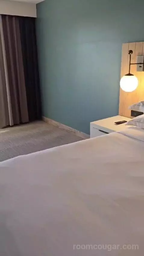 King Studio Suite bed picture #10