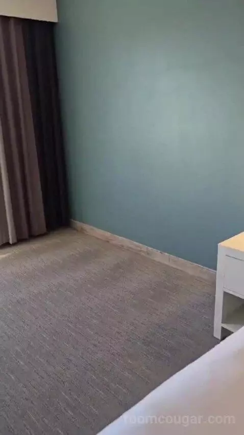 King Studio Suite picture #19
