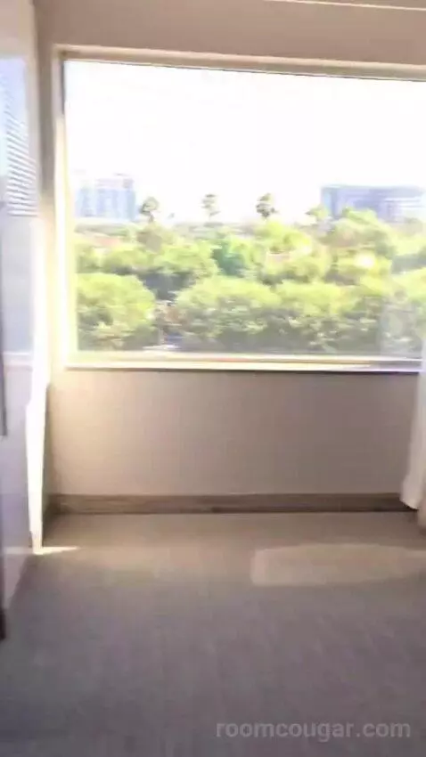 King Studio Suite view picture #4
