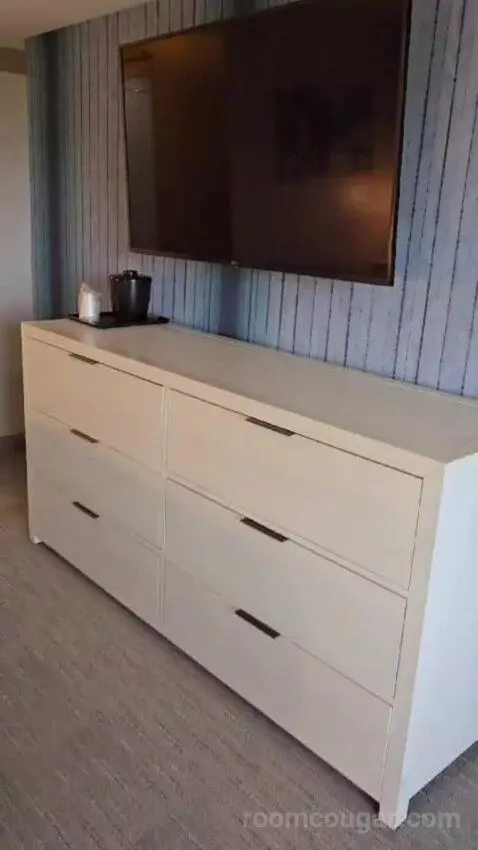 King Studio Suite picture #24