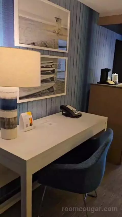 King Studio Suite picture #4