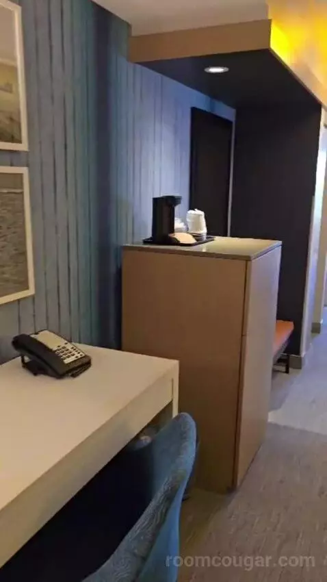 King Studio Suite picture #5