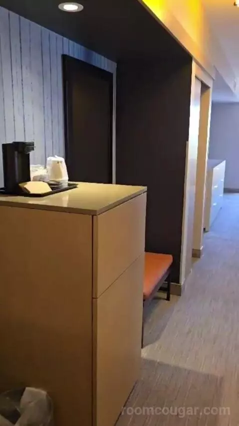 King Studio Suite picture #6