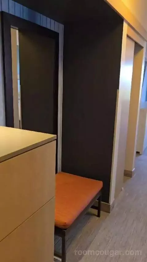 King Studio Suite picture #7