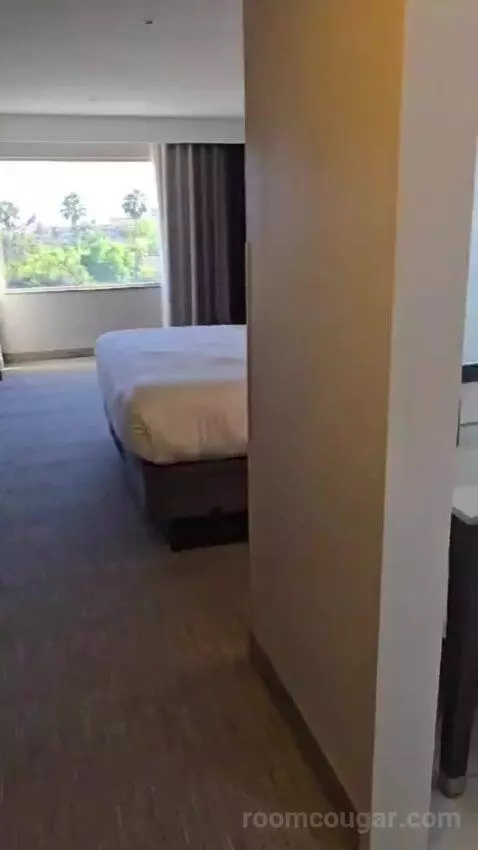 King Studio Suite bed picture #1