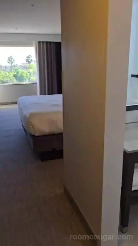 King Studio Suite bed picture #2