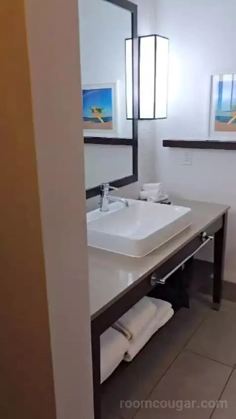King Studio Suite picture #10