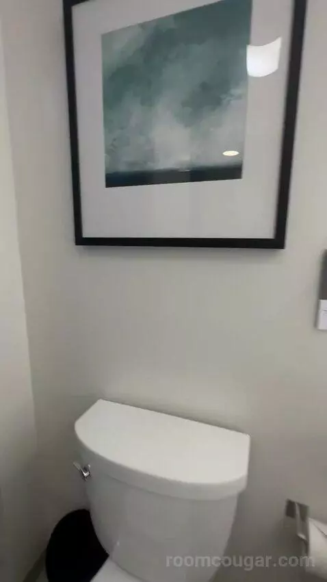 Standard bathroom picture #6