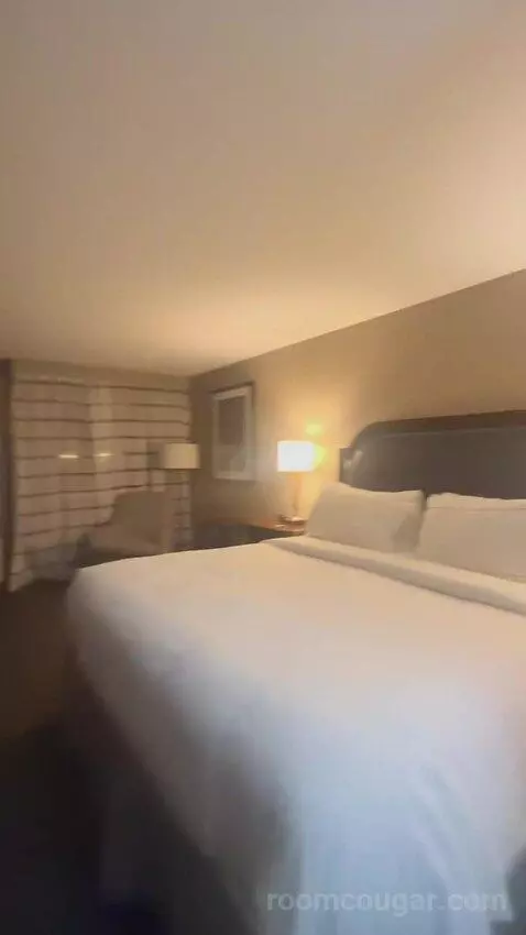King Room bed picture #4