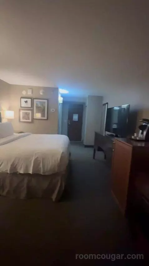 King Room bed picture #7