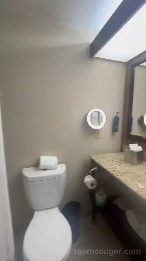 King Room bathroom picture #2