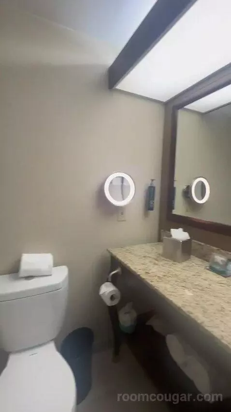 King Room bathroom picture #4