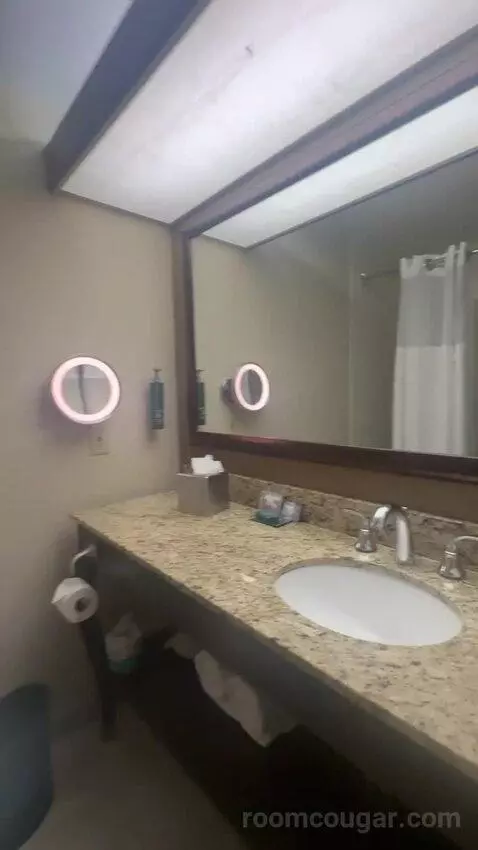 King Room bathroom picture #5