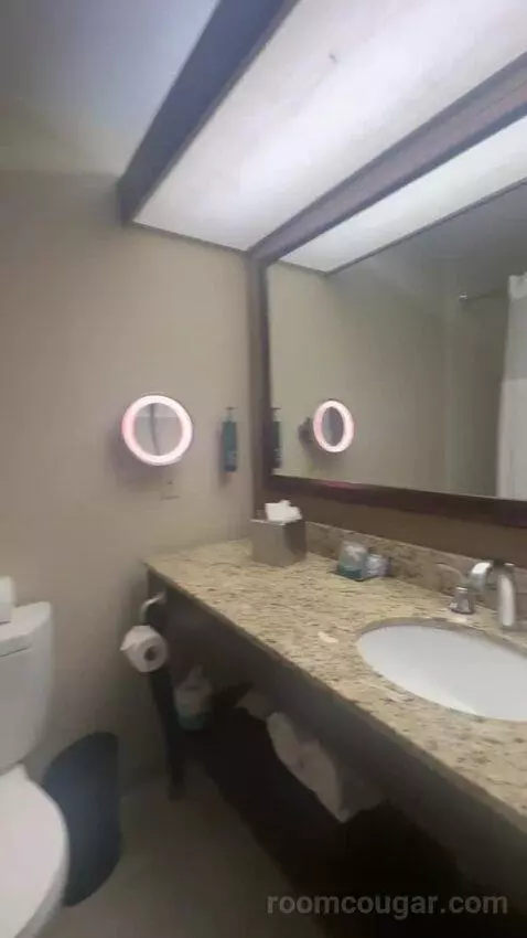 King Room bathroom picture #6