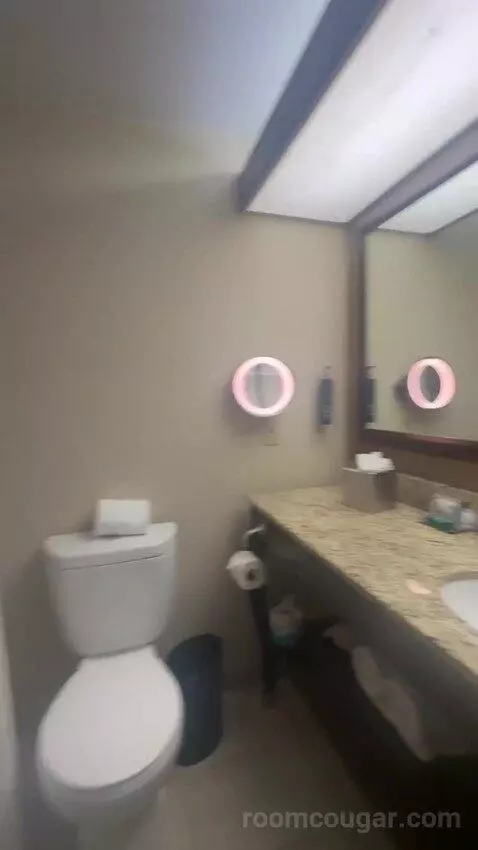 King Room bathroom picture #8