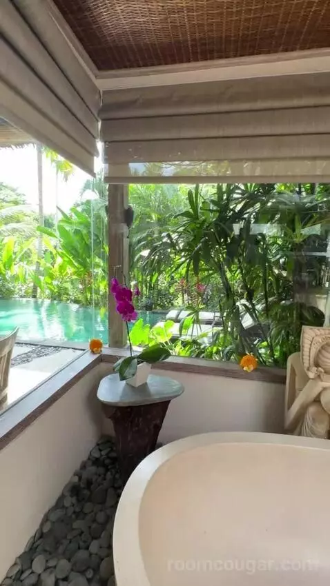 Pool Villa view picture #11