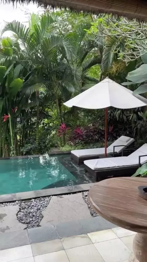 Pool Villa view picture #4