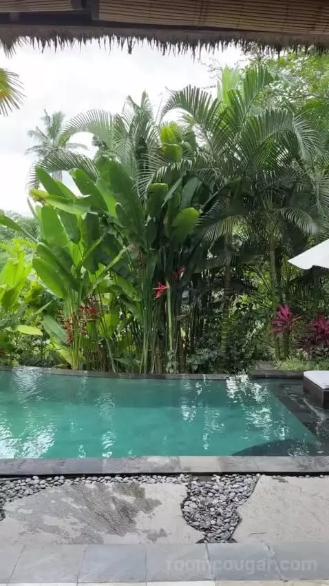 Pool Villa view picture #7