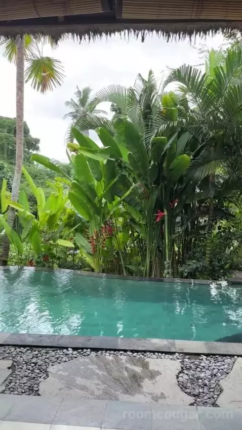 Pool Villa view picture #8