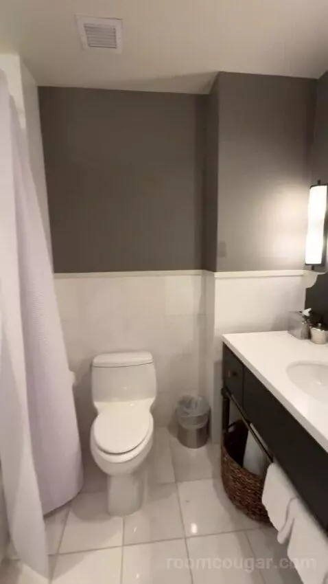 River View King bathroom picture #6