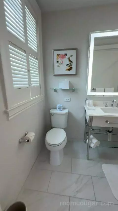 Corner King Room bathroom picture #4
