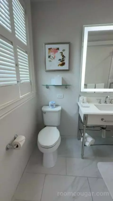 Corner King Room bathroom picture #5