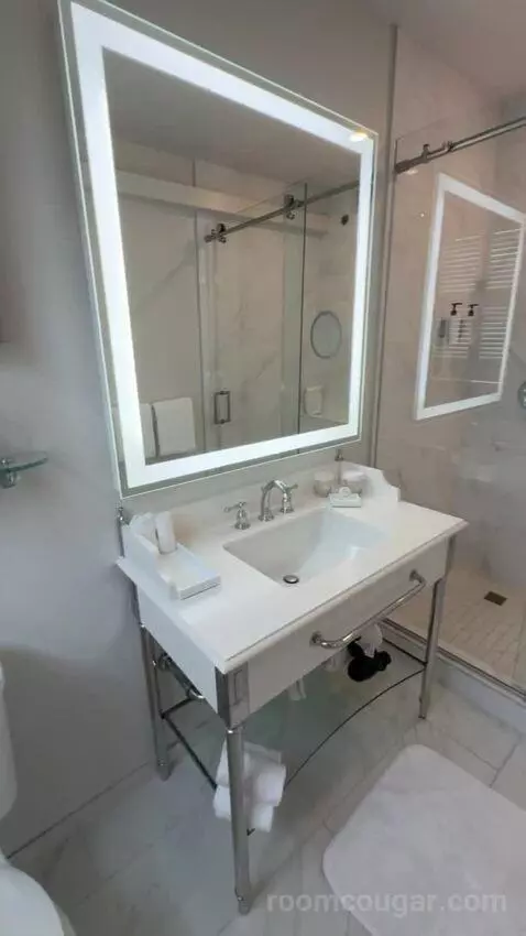 Corner King Room bathroom picture #8