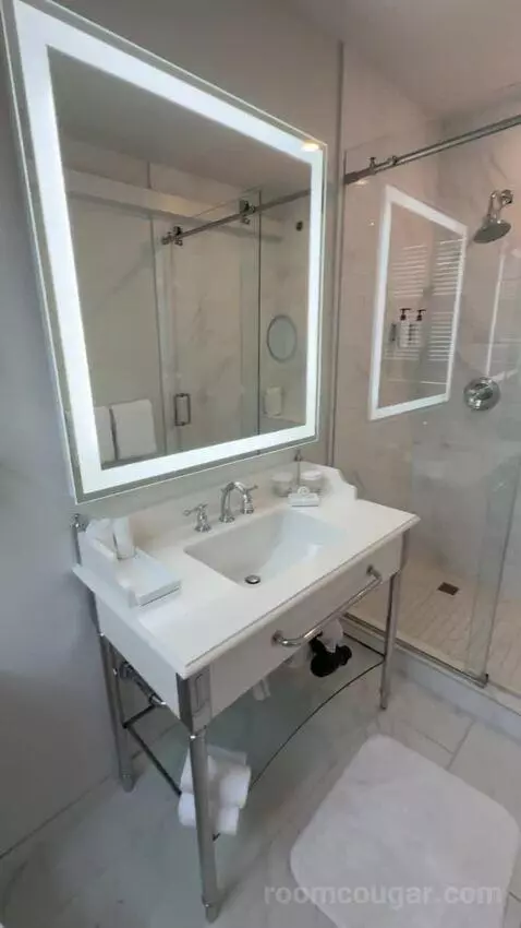 Corner King Room bathroom picture #9