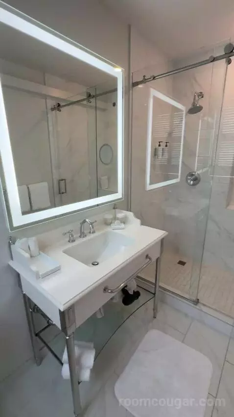 Corner King Room bathroom picture #10