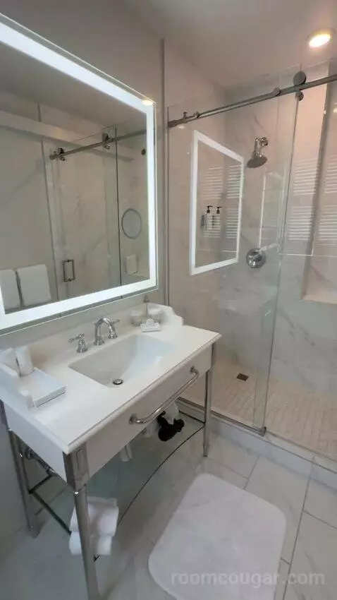 Corner King Room bathroom picture #11