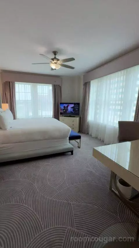 Presidential Suite bed picture #4