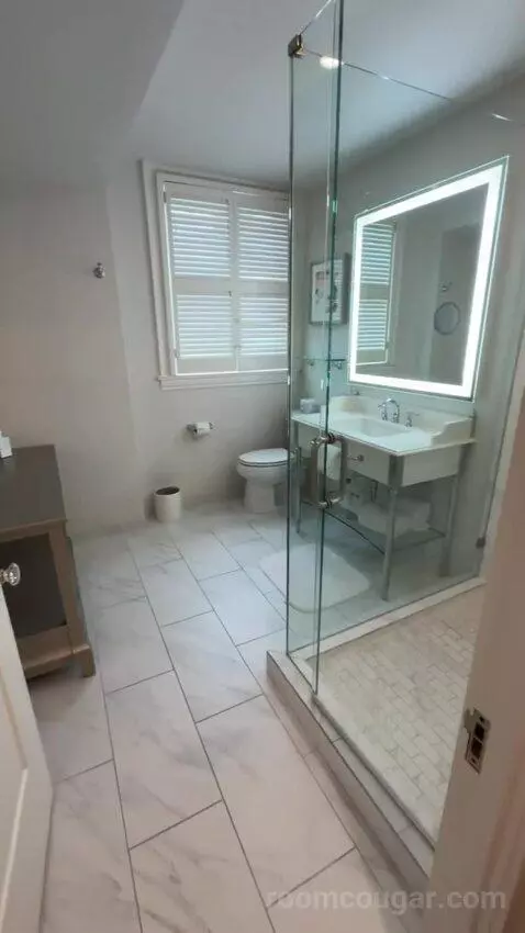 Deluxe Suite bathroom picture #2
