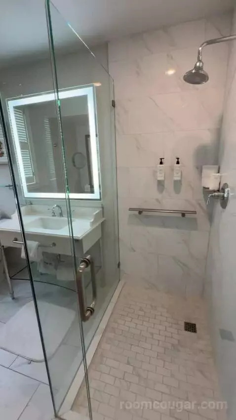 Deluxe Suite bathroom picture #4