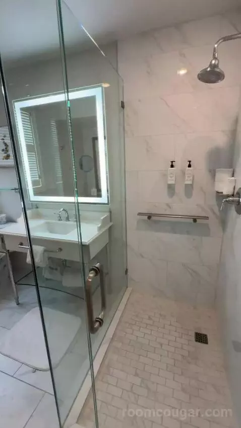 Deluxe Suite bathroom picture #5