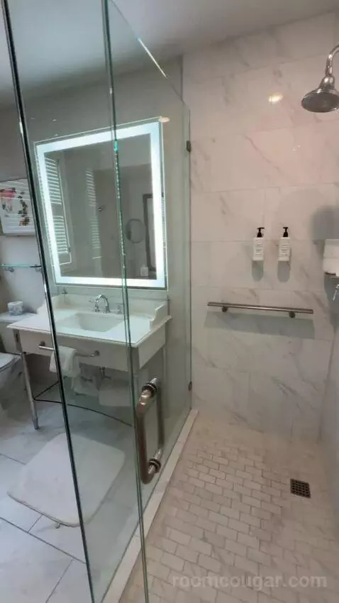 Deluxe Suite bathroom picture #6
