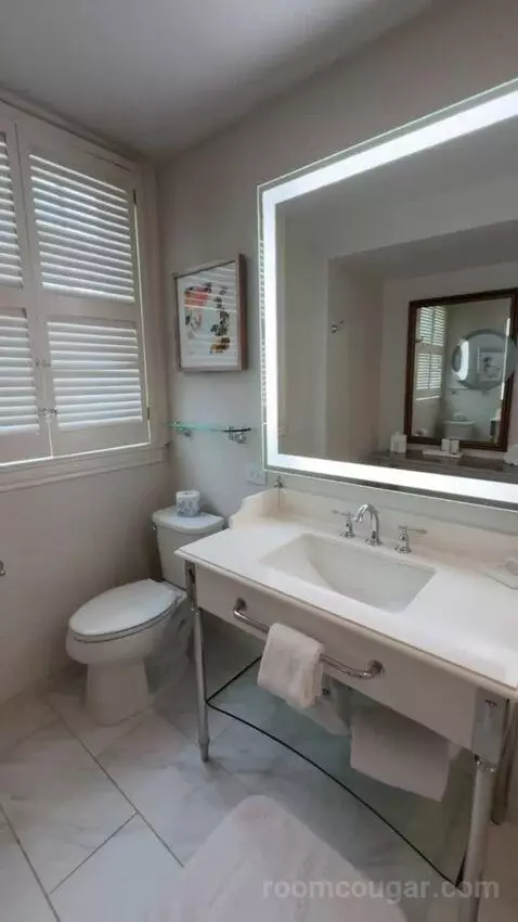 Deluxe Suite bathroom picture #7