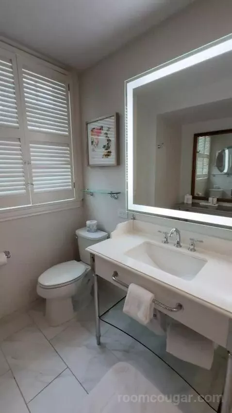 Deluxe Suite bathroom picture #8