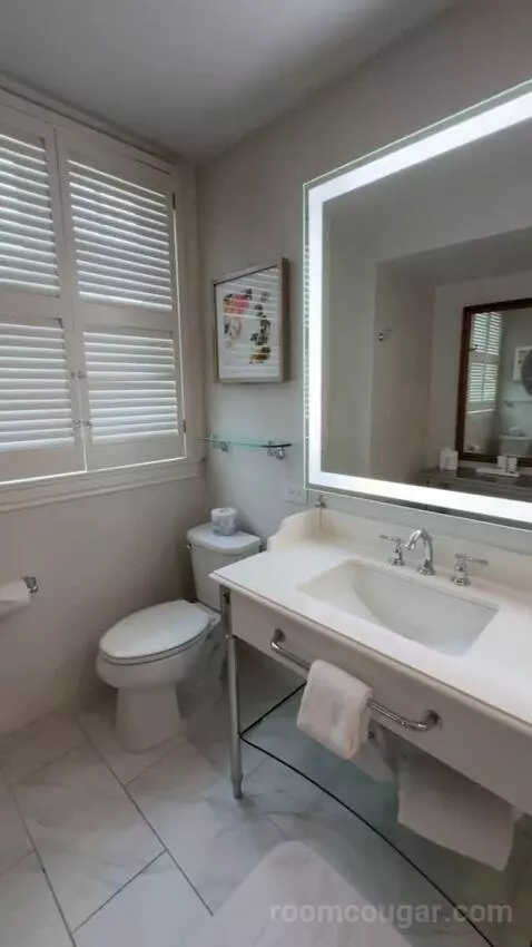 Deluxe Suite bathroom picture #9
