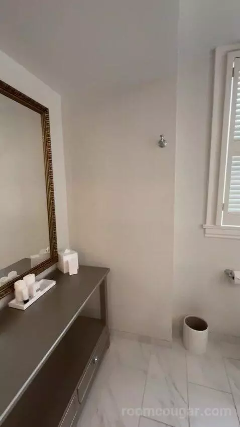 Deluxe Suite bathroom picture #10