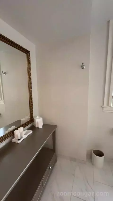 Deluxe Suite bathroom picture #11