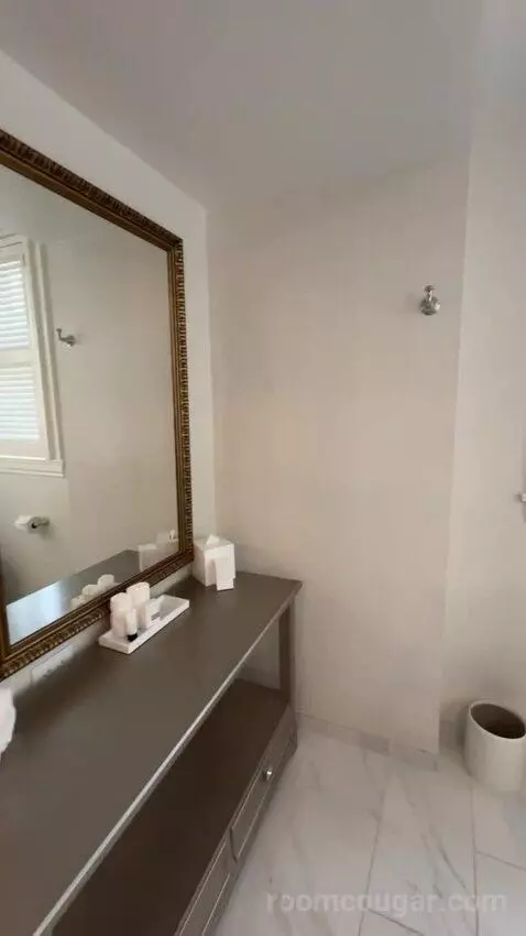 Deluxe Suite bathroom picture #12